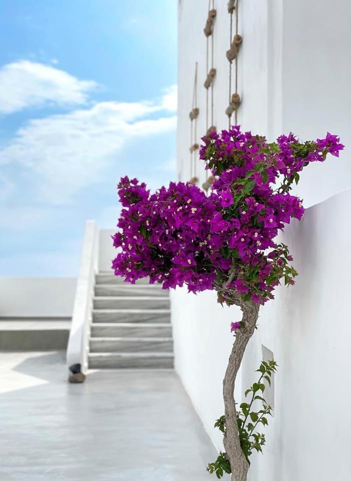 Hermoso Luxury Suites مونوليثوس المظهر الخارجي الصورة